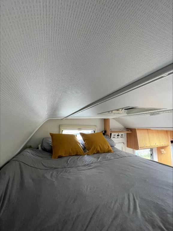 The Cosy Camper At Rockfield Park Hotell Galway Exteriör bild